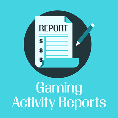 infographic depicting Gaming Activity Report brochure